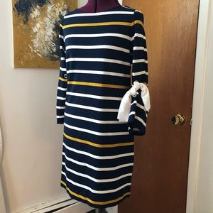Ann Taylor Factory Striped Knit Dress